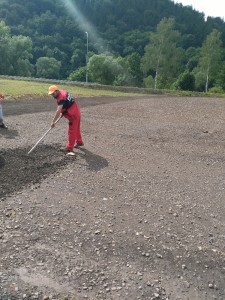 IMG_20160606_095458